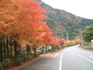 梅ヶ島温泉の紅葉写真２