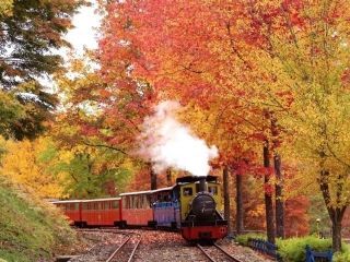 修善寺虹の郷の紅葉写真１