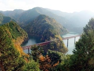 接岨峡・奥大井湖上駅の紅葉の写真３