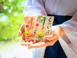 遠江国一宮 小國神社の紅葉の写真４