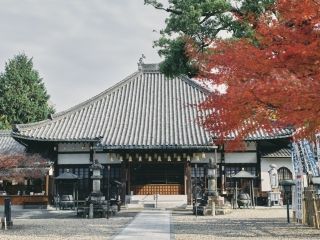 八事山 興正寺の紅葉写真１