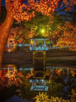 岡崎市東公園の紅葉写真２