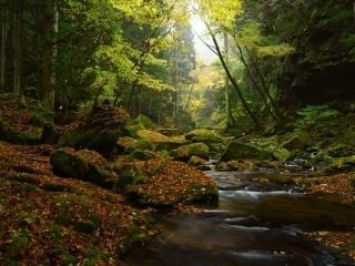 赤目四十八滝の紅葉の写真３