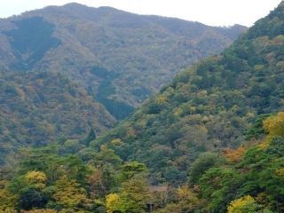 御在所岳の紅葉写真１