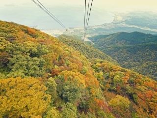 びわ湖バレイの紅葉写真２