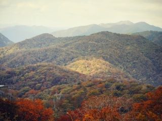 びわ湖バレイの紅葉の写真４