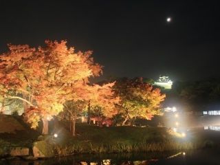 名勝 玄宮園の紅葉写真１