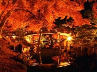 名勝 玄宮園の紅葉写真２