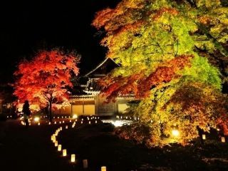 臨済宗永源寺派大本山 永源寺の紅葉写真２