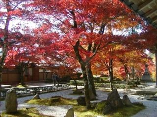 臨済宗永源寺派大本山 永源寺の紅葉の写真３