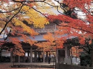 臨済宗永源寺派大本山 永源寺の紅葉の写真４