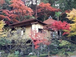 金剛輪寺の紅葉の写真４