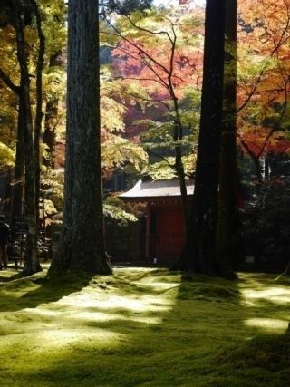 三千院の紅葉写真２