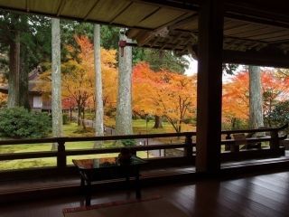 三千院の紅葉の写真３