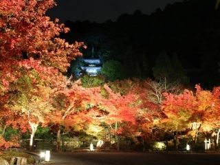 永観堂の紅葉写真１