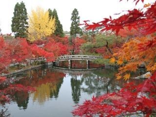 永観堂の紅葉写真２