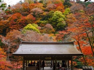 貴船神社の紅葉写真２