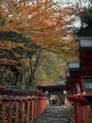 貴船神社の紅葉の写真４