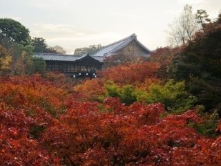 東福寺の紅葉写真１