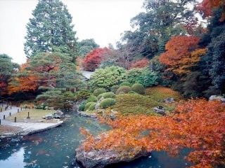 青蓮院門跡の紅葉写真１