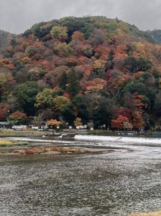 嵐山の紅葉写真１