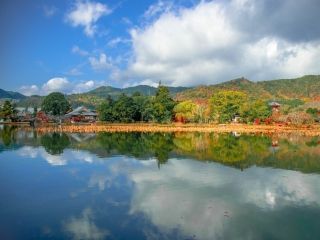 旧嵯峨御所大本山大覚寺の紅葉写真１