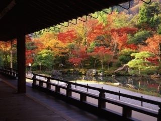 天龍寺の紅葉写真２