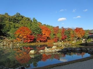 天龍寺の紅葉の写真３