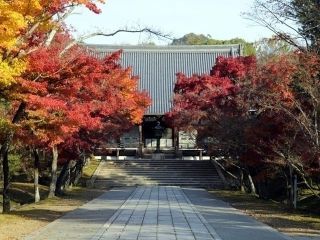 仁和寺の紅葉写真１