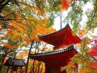 大威徳寺の紅葉写真２