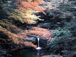 犬鳴山の紅葉写真１