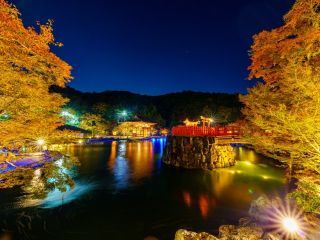 勝尾寺の紅葉の写真４