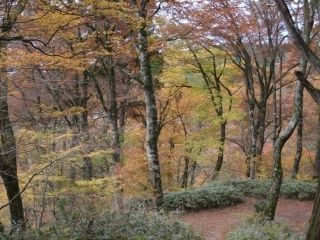 金剛山の紅葉の写真３