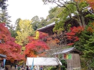 書寫山圓教寺の紅葉写真１