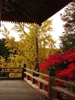 書寫山圓教寺の紅葉写真２