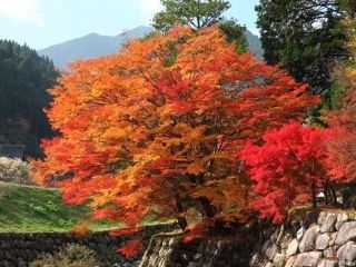 原不動滝の紅葉の写真４