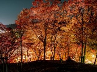 最上山公園（もみじ山）の紅葉写真１