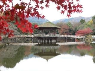 奈良公園の紅葉の写真３