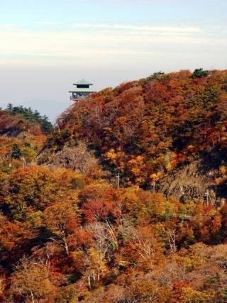 高野龍神スカイラインの紅葉写真２