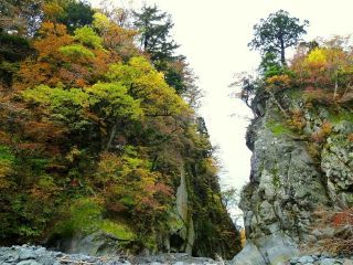 大山の紅葉写真１