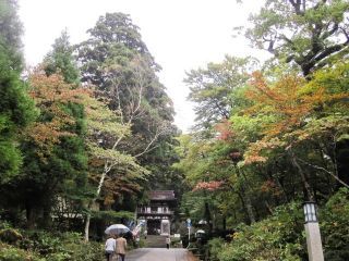 大山の紅葉写真２