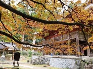 鰐淵寺の紅葉写真１