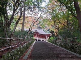 鰐淵寺の紅葉写真２