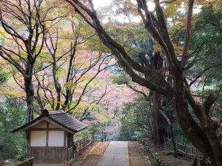 鰐淵寺の紅葉の写真４