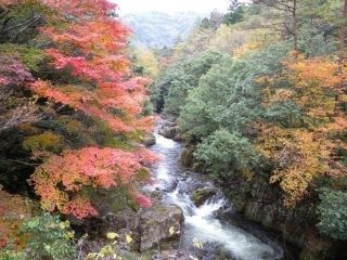 匹見峡の紅葉写真１