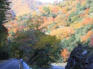 匹見峡の紅葉写真２