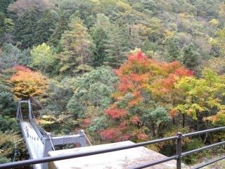 匹見峡の紅葉の写真３