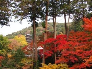 安来 清水寺の紅葉写真１