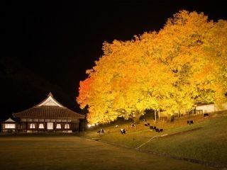 特別史跡旧閑谷学校の紅葉写真１