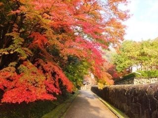 特別史跡旧閑谷学校の紅葉写真２